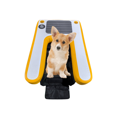 Inflatable Dog pool water ramp